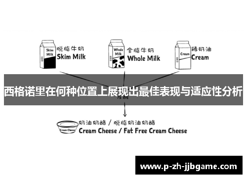 西格诺里在何种位置上展现出最佳表现与适应性分析