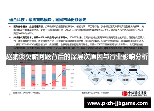 赵鹏谈欠薪问题背后的深层次原因与行业影响分析